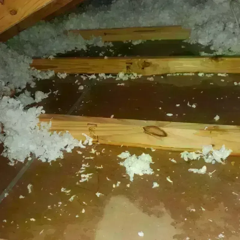 Attic Water Damage in North Westport, MA